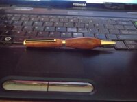 My 2nd pen-1 (640x480).jpg