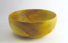 Ambrosia maple bowl 1.JPG