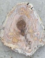wood slab.jpg