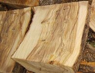 timber preparation 615-1_(1).jpg