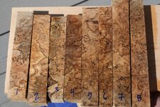 1a spalted maple burl.jpg