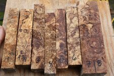 1a spalted maple burl stabilized.jpg