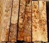 1 1 a  a spalted maple burl.jpg