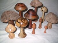 mushrooms 019.jpg