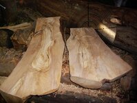 timber preparation 270.jpg