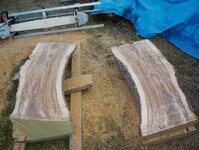 timber preparation 230.jpg