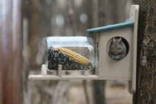 squirrel-feeder-made-from-recycled-plastic1-300x200.jpg
