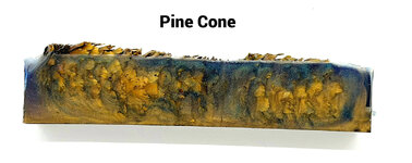 Pine_Cone.jpg