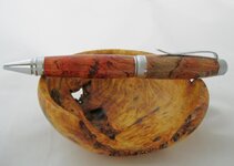 Austalian Bottle Brush Cigar.jpg