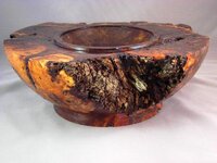 first peek in to the new burl 013_4_5_fused.jpg
