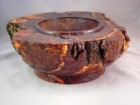 first peek in to the new burl 017_8_9_fused.jpg