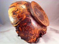 first peek in to the new burl 027_28_29_31_fused.jpg