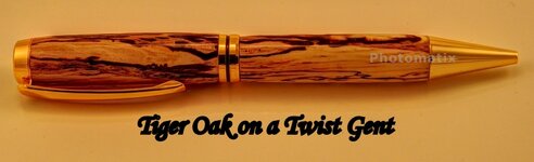 Test pen tiger wood gent.jpg