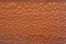fishtail oak.jpg
