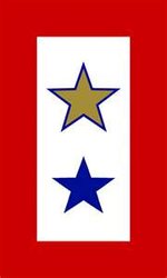 Service Banner with gold star.jpg