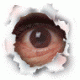 barrels's Avatar