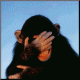 daveeisler's Avatar
