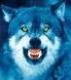 bluwolf's Avatar