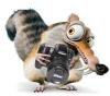 opfoto's Avatar