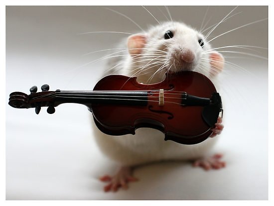 mr__mice_and_the_violin_by_red___fiddler-d3io042.jpg