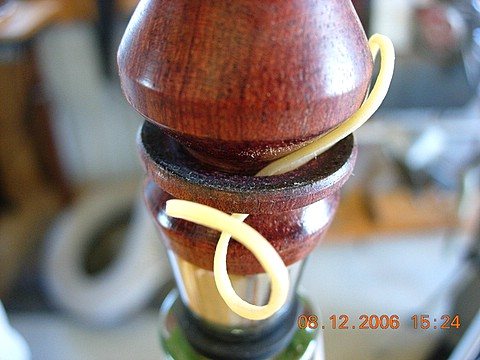 0681435250_Captured%20ring%20Bubinga%20by%20Eileen.jpg