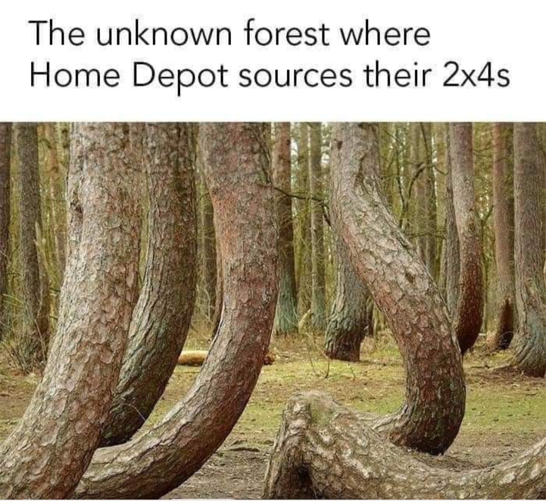 1000006555.jpg