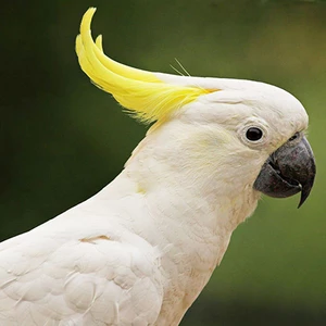 1567633928752.png
