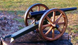 1_cannon_x2.jpg