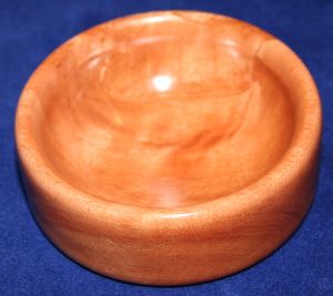 1_dish_resized.jpg