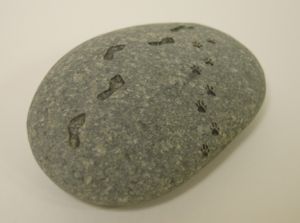 1_Rock1.jpg