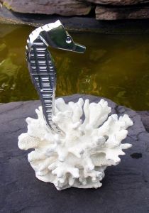 1_Seahorse_1.jpg