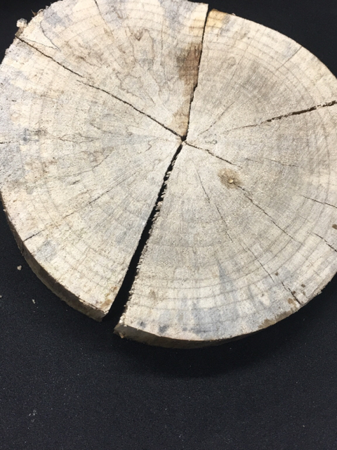 1e35cf44afb33192e75c2e5297c16451.jpg