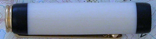 20041028181652_fakeivory.jpg