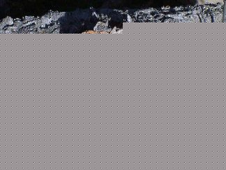20041285850_Branch-Cross-Section-3%20sm.jpg