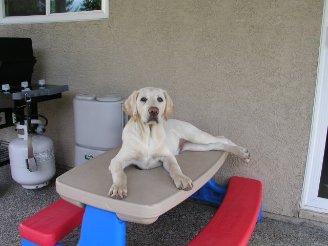 2005101622830_cooper.jpg