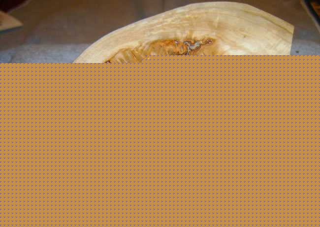 20051025133_americana_buckeye_burl2.jpg