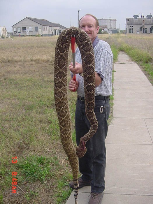 20051123191310_r'snake.jpg