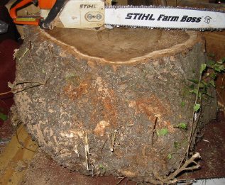 200511441722_newburl22.jpg