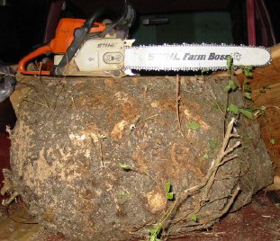 20051144173_newburl11.jpg