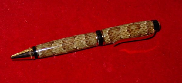 20051222141524_snake6.jpg