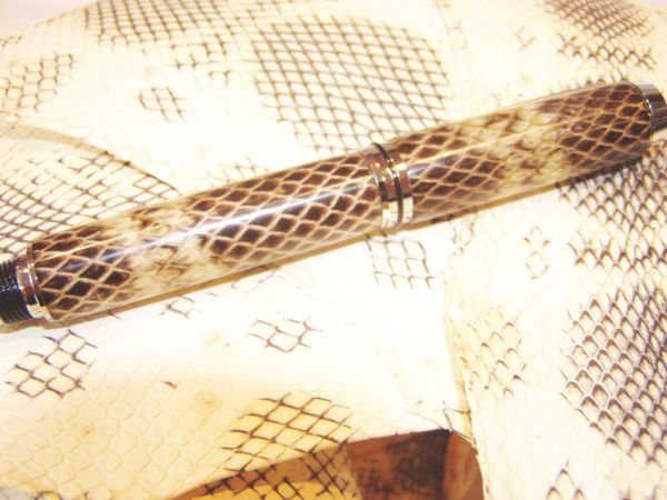 2005122925344_OZseasnake.jpg