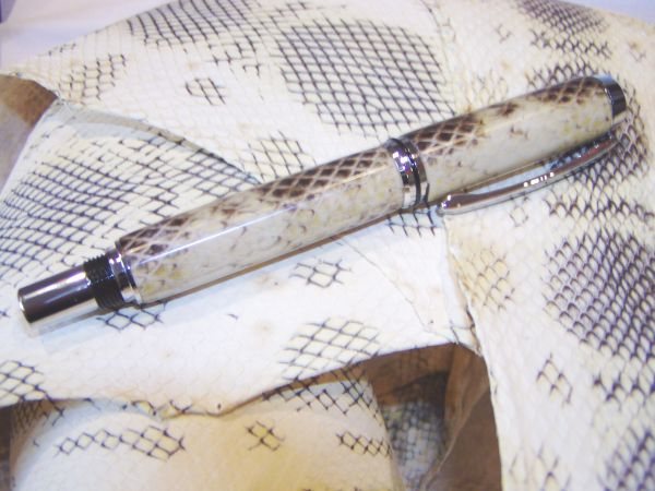 2005122925413_OZseasnake2.jpg