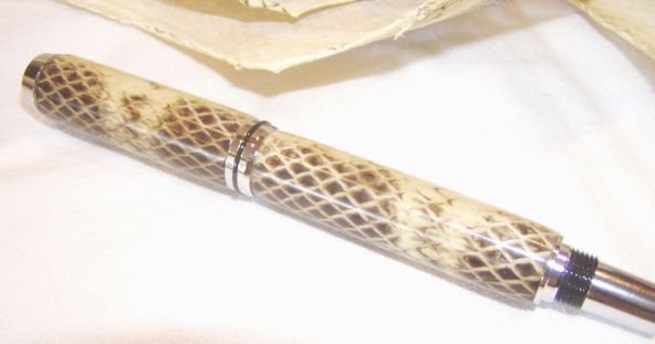 2005122925457_OZseasnake3.jpg