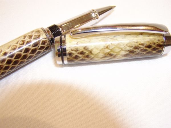 20051230324_seamsnake3.jpg