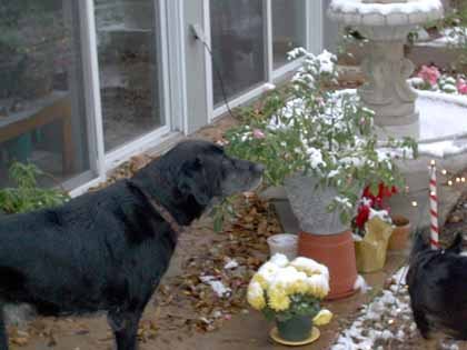20051284733_tuvie1.jpg
