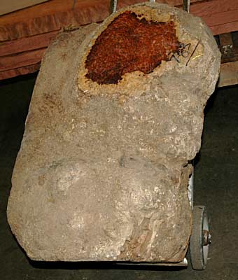 2005215462_AmboynaBurl.jpg