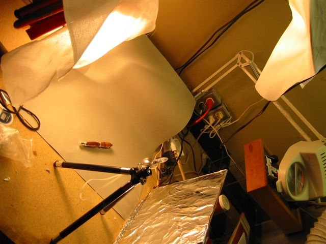 200522719012_IMG_1017.jpg