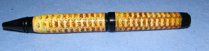 200532233849_1STCORNCOBREAR.jpg