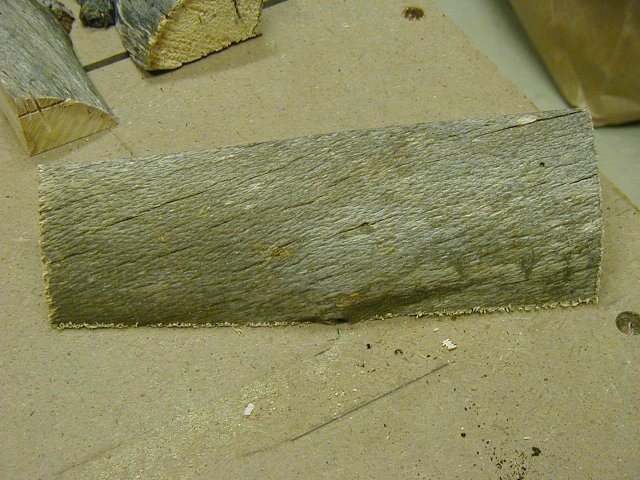 2005327155123_Spalted%20Log.jpg