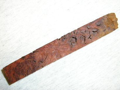 2005331957_jarrah1.jpg